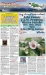 Image for Download our weekly publication!